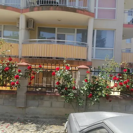Tedi Apartment