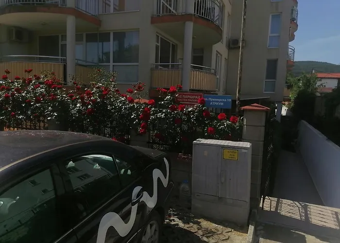 Tedi Διαμέρισμα *