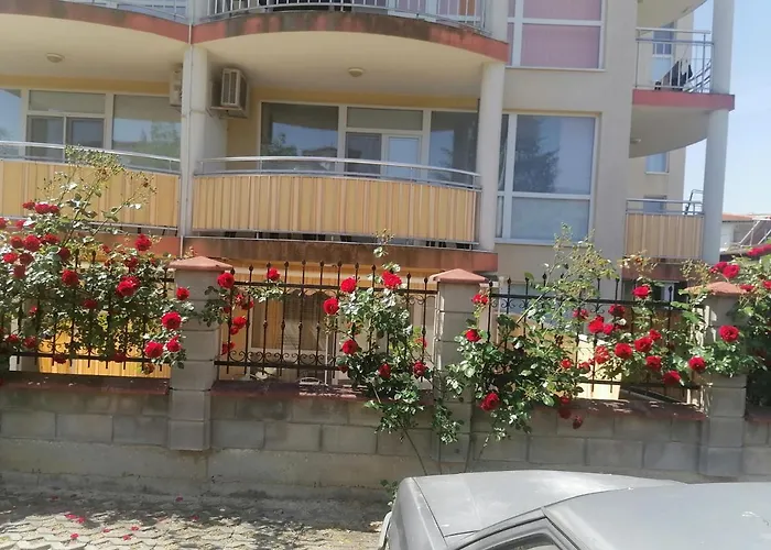 Tedi Διαμέρισμα